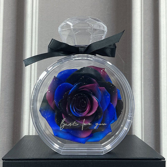 Natural Eternal Flower Ornaments Transparent Cover Dried Rose Gift Box For Christmas New Year Valentine's Day Home Decor